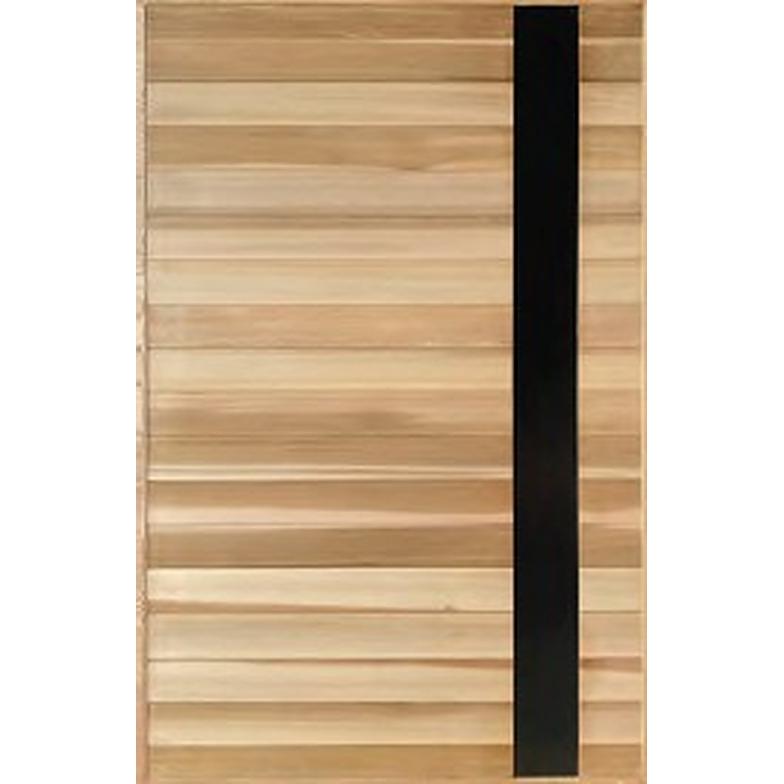 Contemporary pivot front door featuring timber cladding and black feature panel, widely used in Sydney architecture