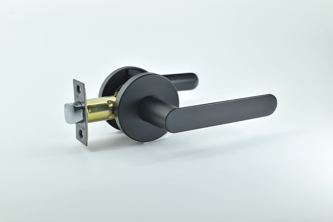 Passage black round door handle