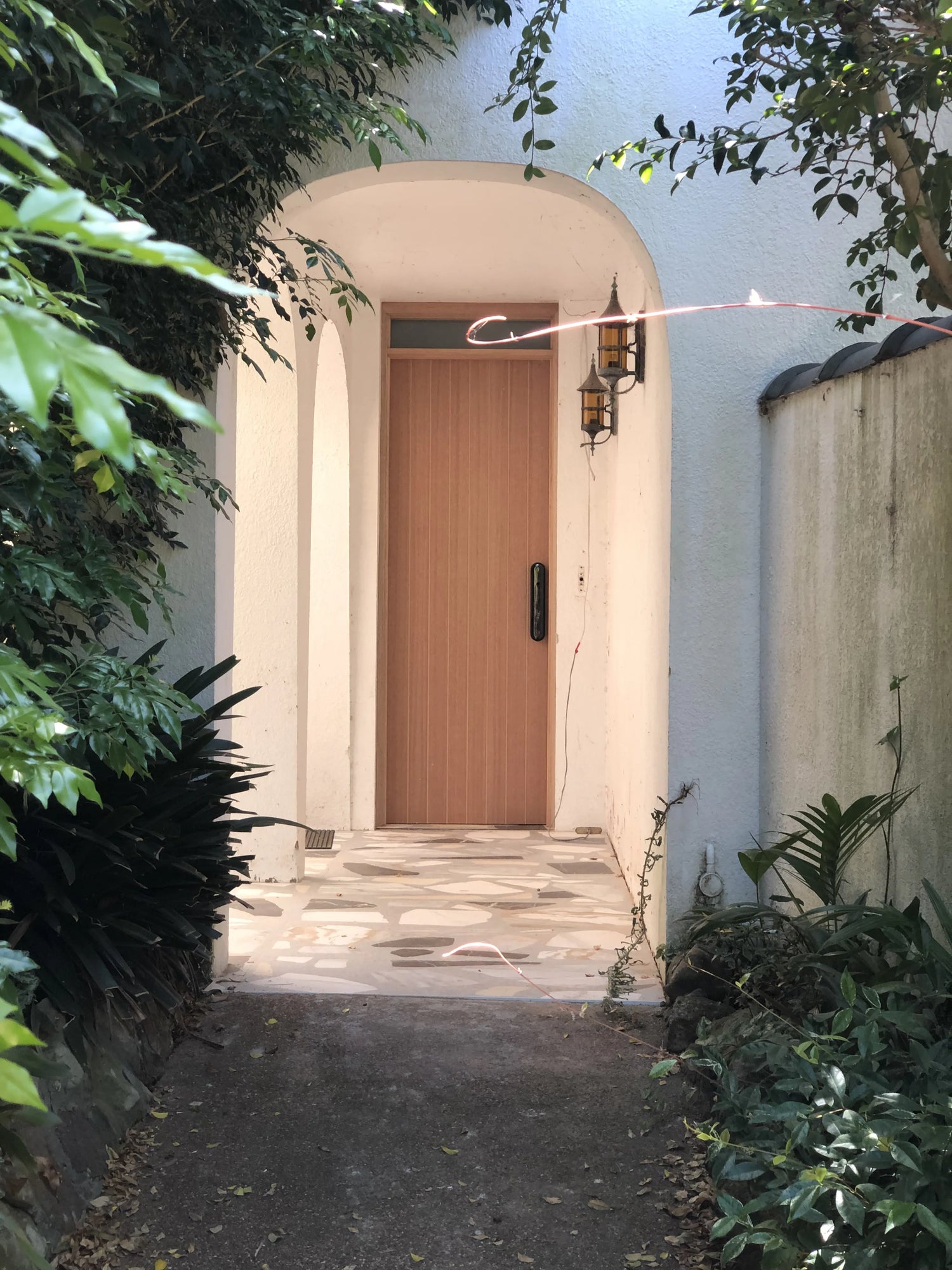 XLR500 - external door with SPM veneer and vertical routed lines installed in Lugarno