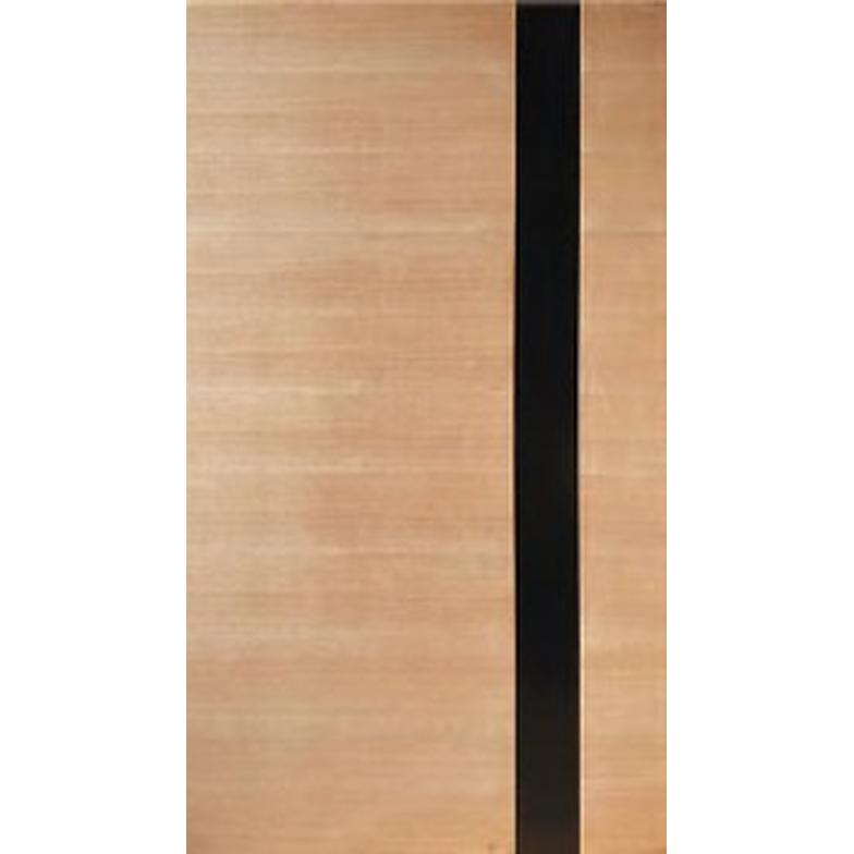 Modern Front door with veneer and wide black strip as feature.