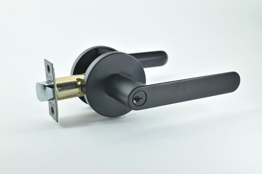 Sleek entrance black door handle with circular base plate 